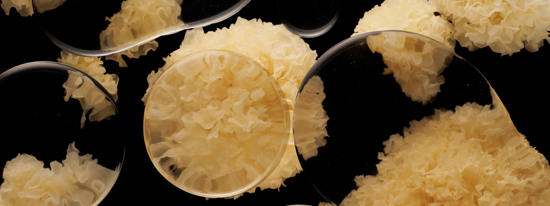 Clean beauty meets cellular wellness: The ingredient-conscious guide to skincare