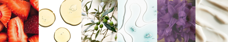 Clean Ingredients, Real Results