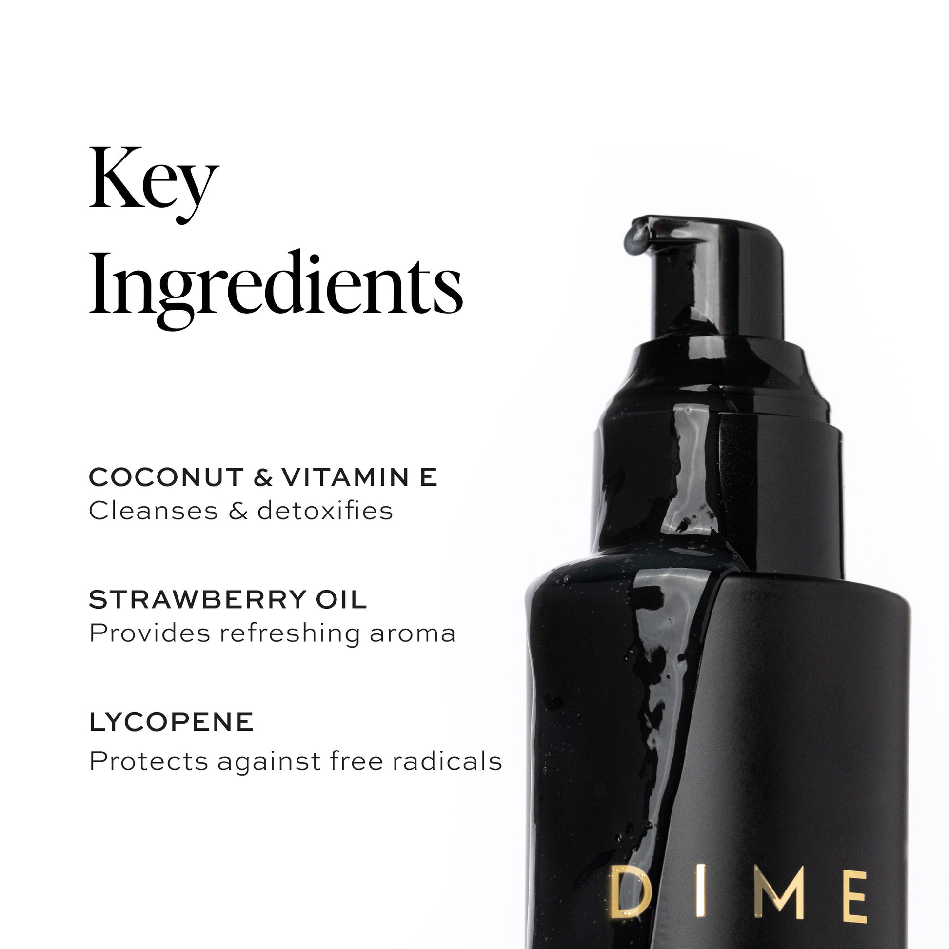 Key Ingredients