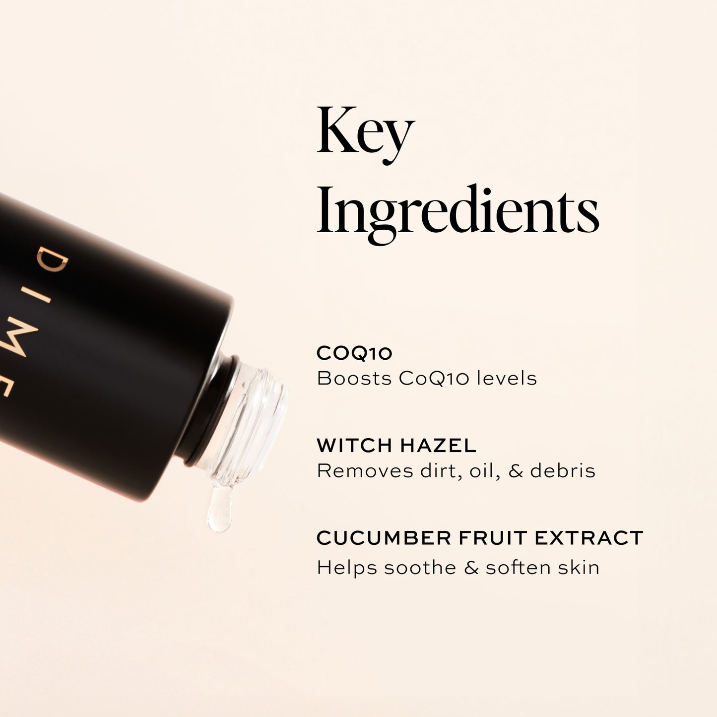 Key Ingredients